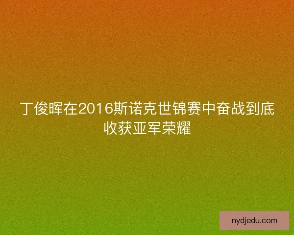 丁俊晖在2016斯诺克世锦赛中奋战到底收获亚军荣耀