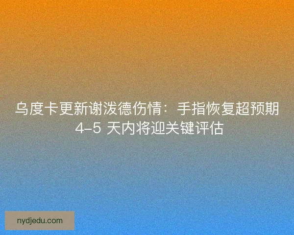 乌度卡更新谢泼德伤情：手指恢复超预期 4-5 天内将迎关键评估